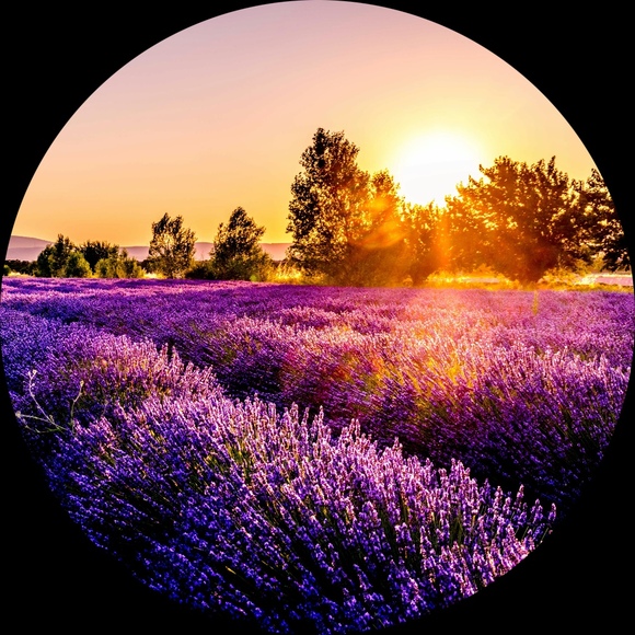 curated_chaos99